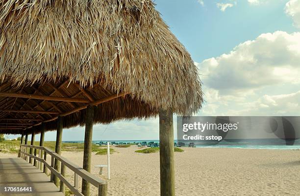beach hut - thatched roof huts stock pictures, royalty-free photos & images