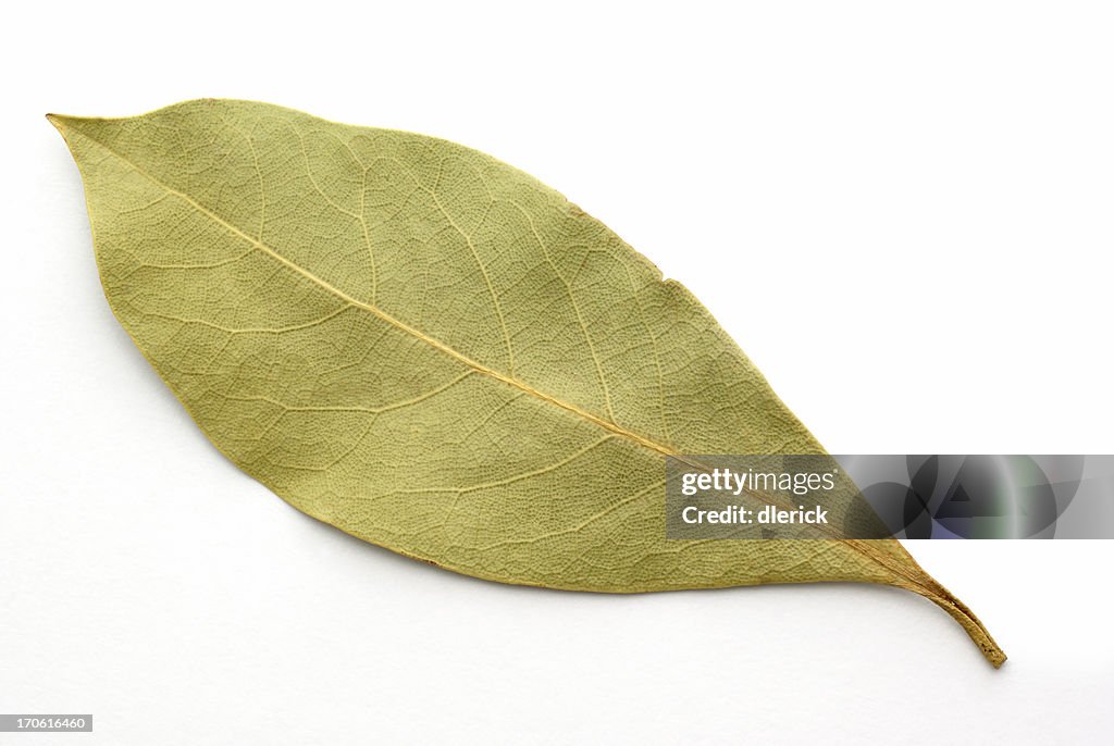 Einzelne bay leaf auf Weiß