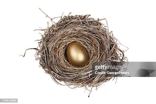nest egg-expressão anglo-saxônica - nest egg expressão anglo saxônica - fotografias e filmes do acervo