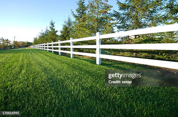 cerca branca - fencing imagens e fotografias de stock