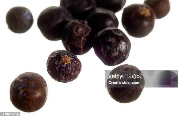 close-up of juniper berries on white - juniperus stock pictures, royalty-free photos & images