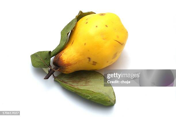 quince fruit on white background - kweepeer stockfoto's en -beelden