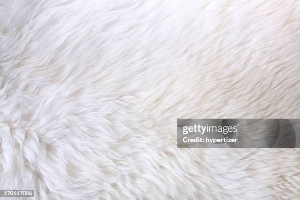 close up view of white fur detail - fur stock pictures, royalty-free photos & images