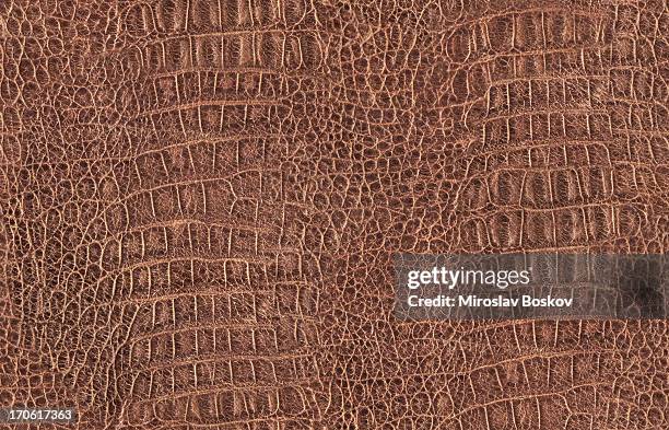 hi-res crocodile (alligator) brown leather seamless texture tile - crocodile texture stock pictures, royalty-free photos & images