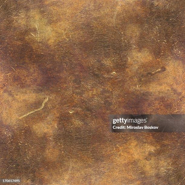 Cow Texture Tile 128 Cow Pattern Seamless Stock Photos, High-Res Pictures, and Images ...