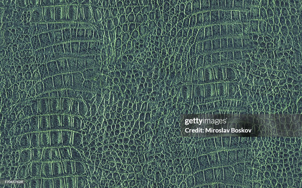 Alta resolución de cocodrilo verde textura de baldosas sin fisuras de la piel
