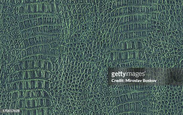 hi-res alligator skin seamless green texture tile - leather pattern stock pictures, royalty-free photos & images