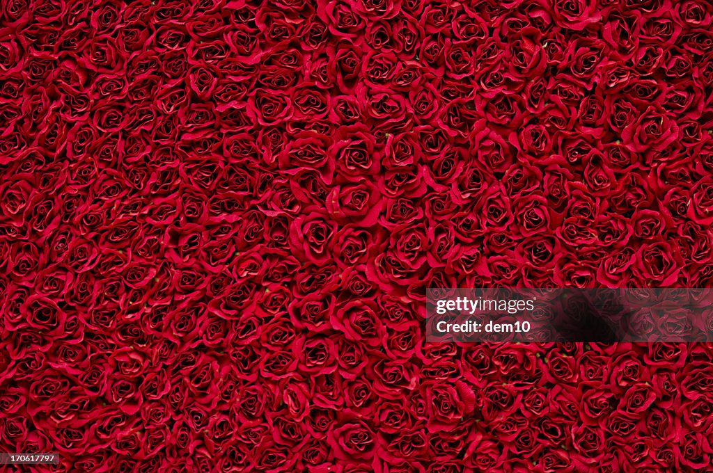 Rote Rosen Hintergrund