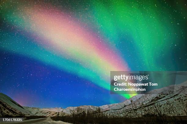 northern lights along dalton highway - alaska - usa - fairbanks stock-fotos und bilder