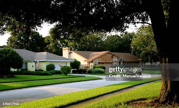 residential district - tampa florida stock pictures, royalty-free photos & images