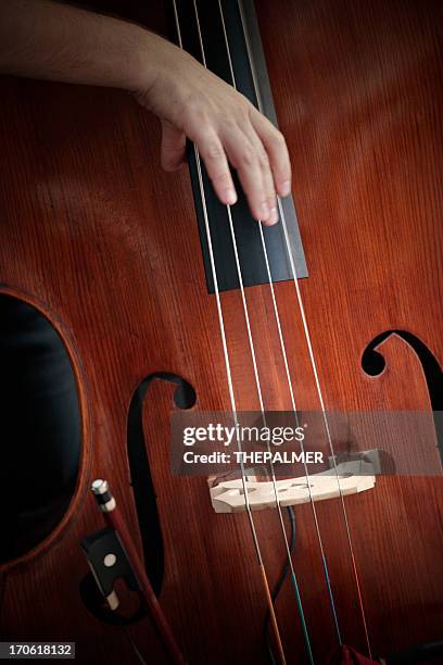 contrabass - musical instrument close up stock pictures, royalty-free photos & images