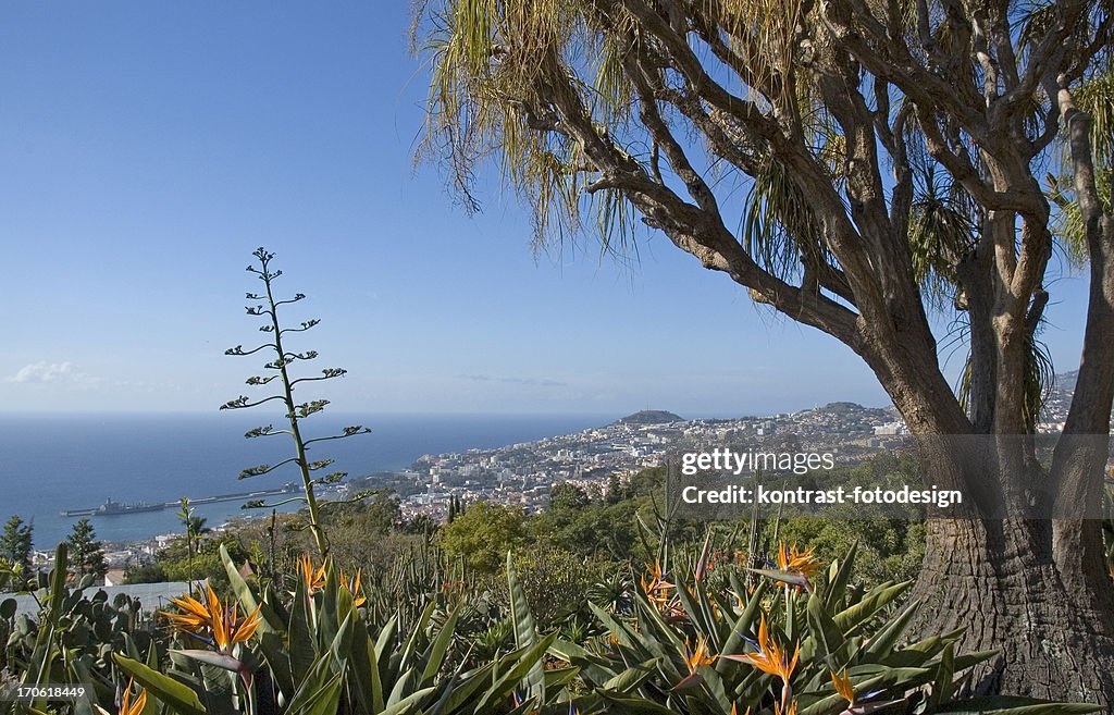Botanical Garden, Madeira