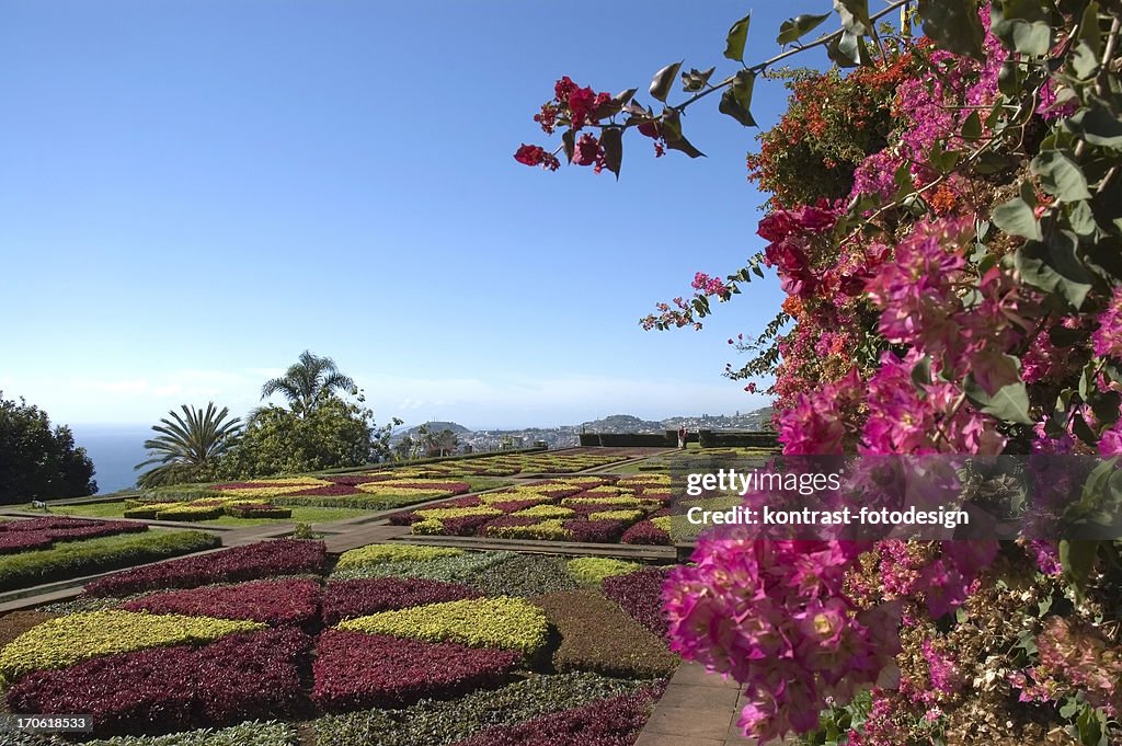 Botanical Garden, Funchal, Madeira