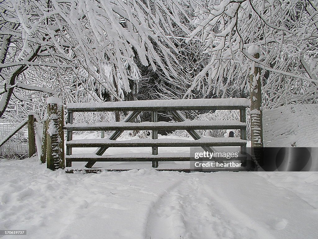 Snowed In