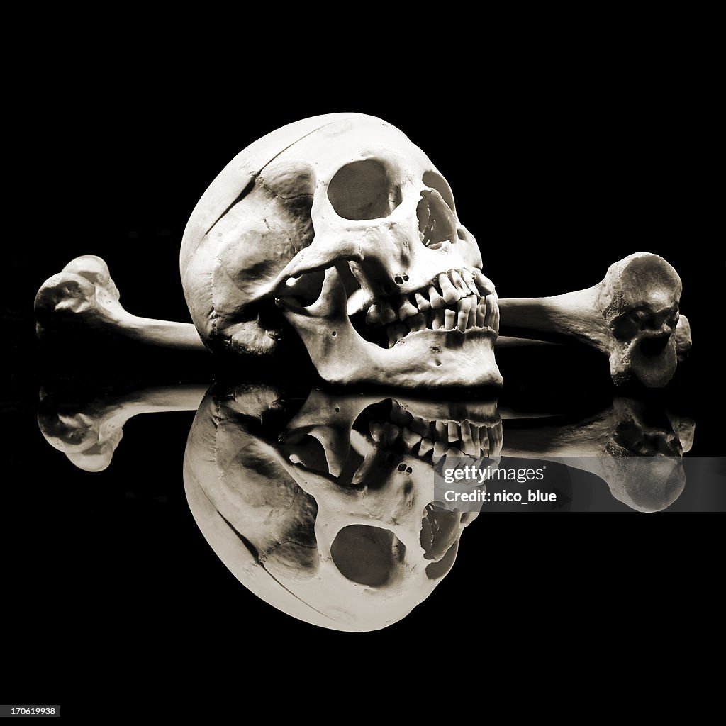 Skull and bones