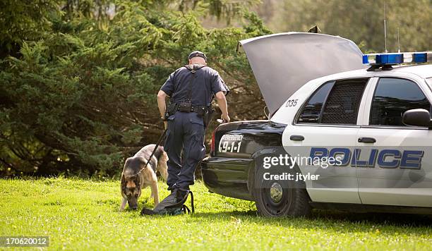 police dog - police dog stock-fotos und bilder