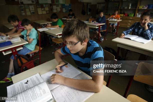 Hungarian pupil Csongor sits in his classroom at school in Budapest on June 10, 2013. AFP PHOTO / FERENC ISZA