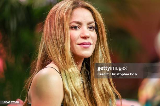 467 Shakira Beach Stock Photos, High-Res Pictures, and Images - Getty