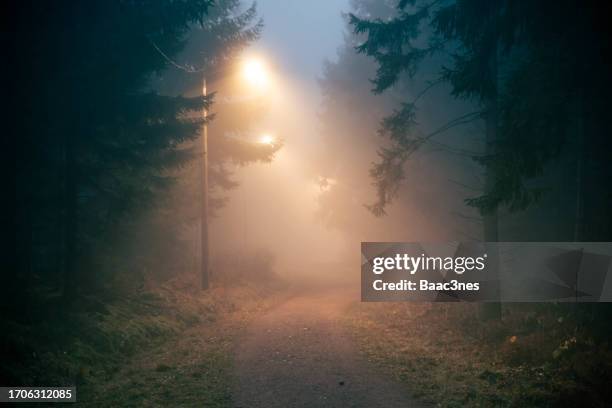 dirt road in a dark and foggy forest - dark pine forest stock pictures, royalty-free photos & images