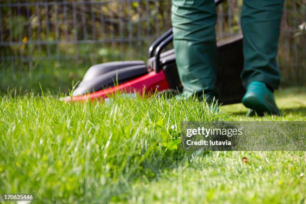 lawn mower - mowing stock pictures, royalty-free photos & images