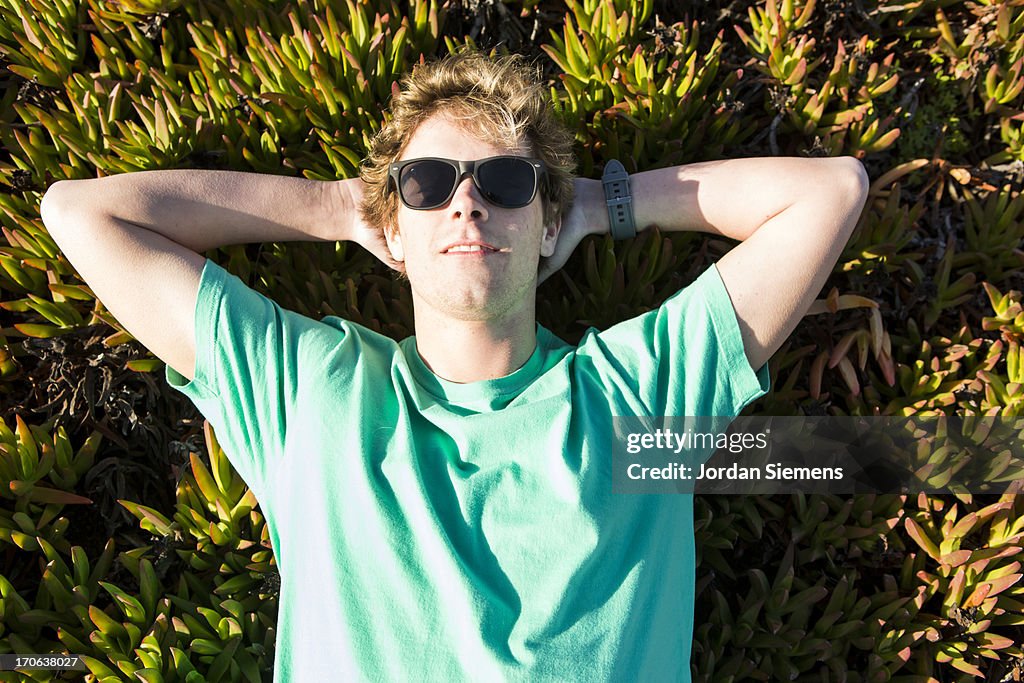 A man lying in a patch of succulents.