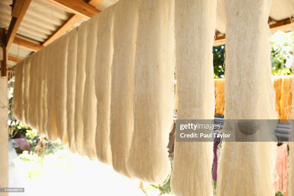 Processed Silk Hanging