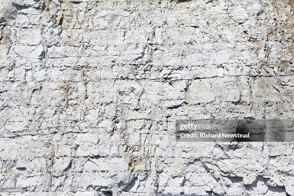 Chalk Cliff Face