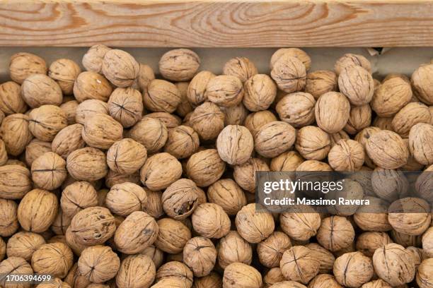 farmers market - organic  walnuts - walnuts stockfoto's en -beelden