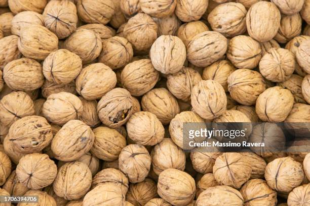 farmers market - organic  walnuts - walnut farm stock pictures, royalty-free photos & images