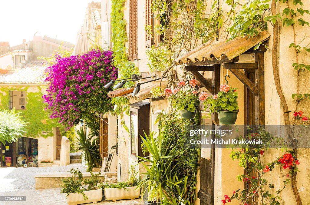 Street of provencal town full of flowers (Provence-Alpes-Cote d'Azur, France)