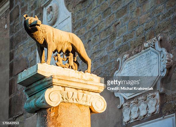 capitoline wolf - capitol rome stock pictures, royalty-free photos & images