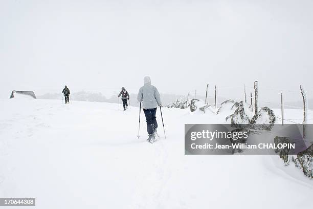 snowshoeing - auvergne stock pictures, royalty-free photos & images