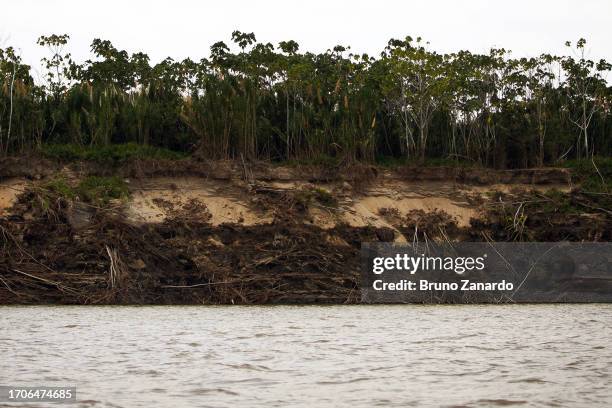 Drought-hit river banks as trees lose their support and fall down on October 04, 2023 in Iranduba, Amazonas, Brazil. The state of Amazonas remains in...