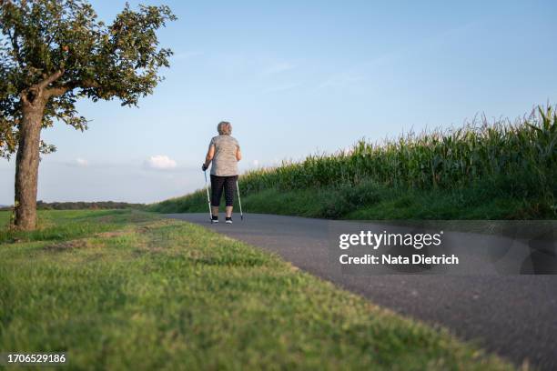 elderly woman goes nordic walking with sticks, keeps fit - senior women walking stock pictures, royalty-free photos & images