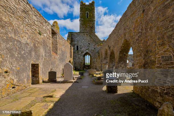 timoleague friary, county cork, ireland - friary stock pictures, royalty-free photos & images