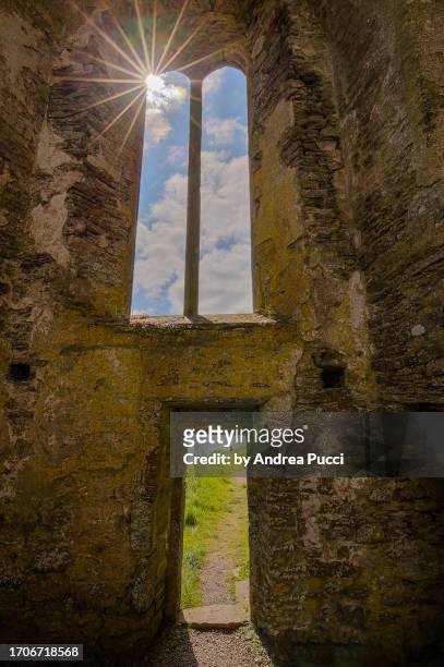 timoleague friary, county cork, ireland - friary stock pictures, royalty-free photos & images