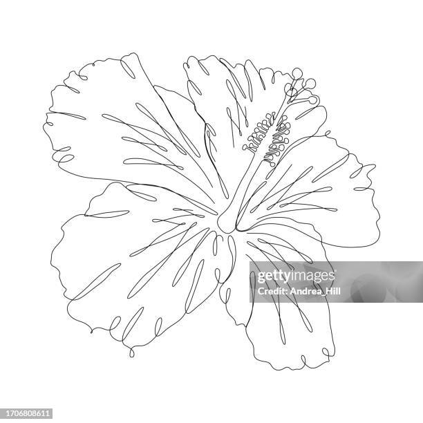hibscus flower continuous line drawing with editable stroke - tropical flower stock illustrations