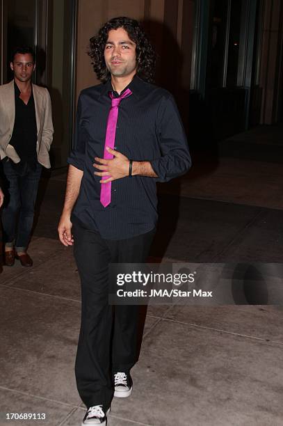 Adrian Grenier as seen on June 15, 2013 in Los Angeles, California.