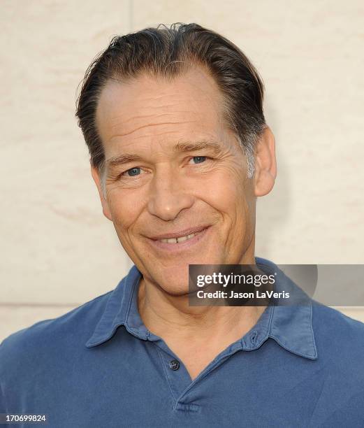 Actor James Remar attends the "Dexter" series finale season premiere party at Milk Studios on June 15, 2013 in Hollywood, California.