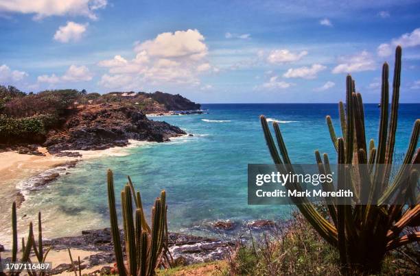 mustique beach - mustique stock pictures, royalty-free photos & images