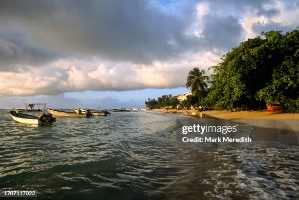 fishing boat near pigeon point, tobago - trinité et tobago photos et images de collection