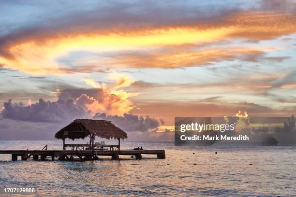 pigeon point in tobago - tobago stock pictures, royalty-free photos & images