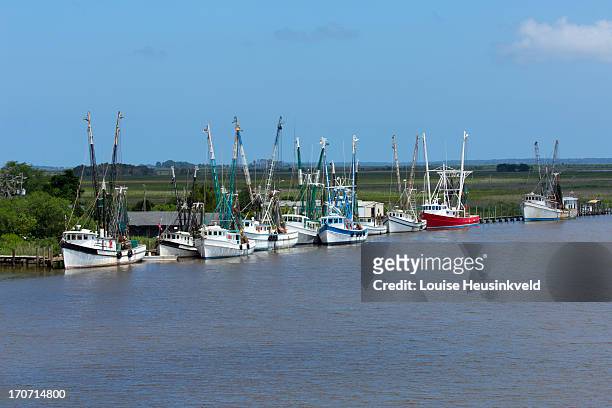 shrimp boat fleet in darien, georgia - shrimp boat stockfoto's en -beelden