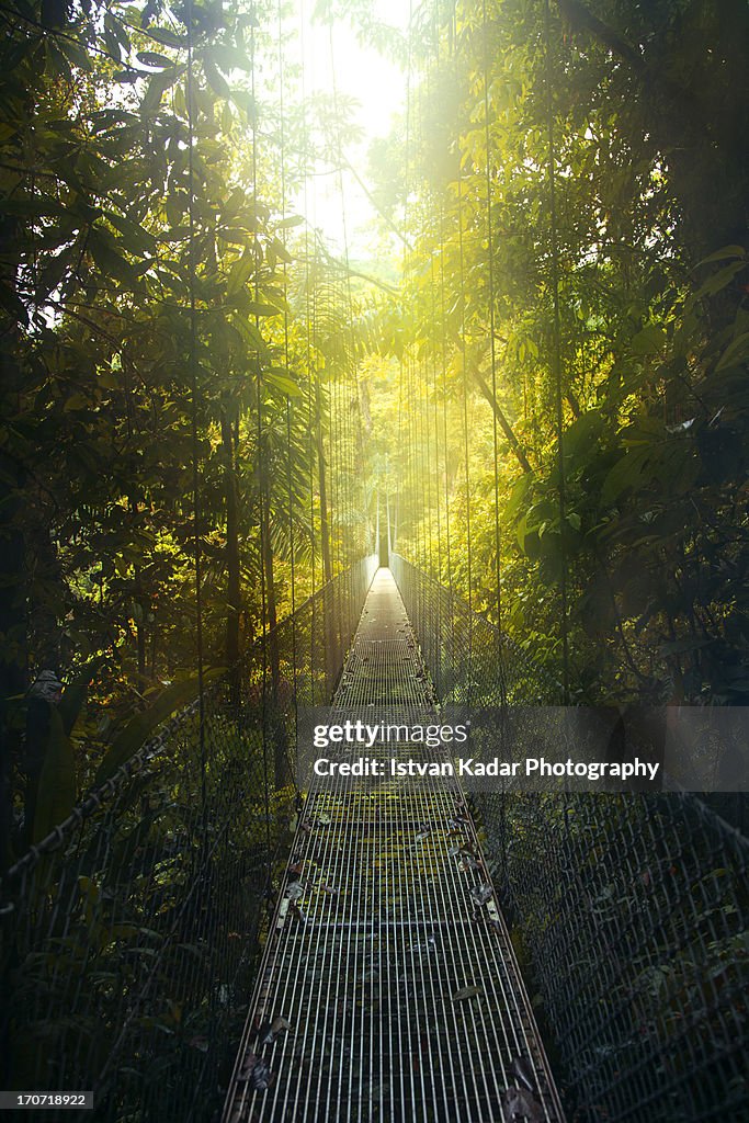 Arenal Hanging Bridges in Costa Rica