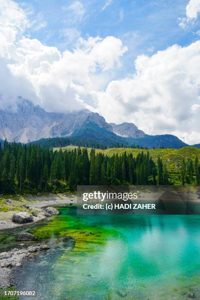 a summer view of lago di carezza or karersee alpine lake in the dolomites in northeast italy - lago de carezza fotografías e imágenes de stock