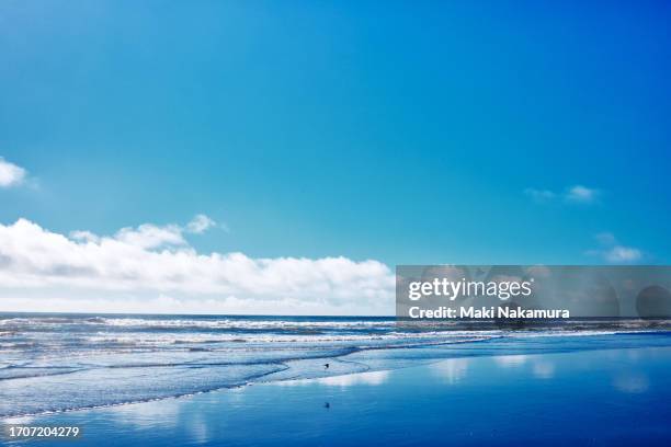 sunny seascape. - feeling the breeze stock pictures, royalty-free photos & images