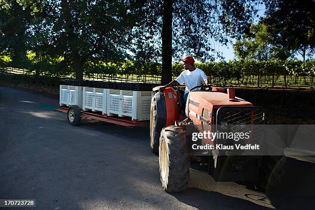 driving tractor with boxes of grapes - trailer stock-fotos und bilder
