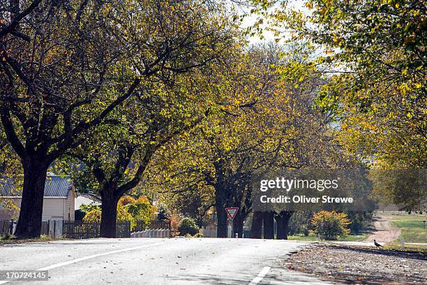 country road - lancefield stock pictures, royalty-free photos & images