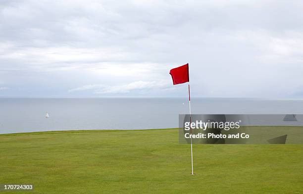golf in etretat - golfvlag stockfoto's en -beelden