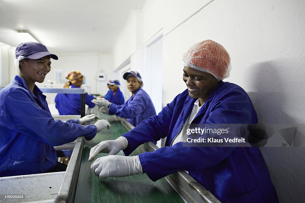 Workers sorting figs at small business